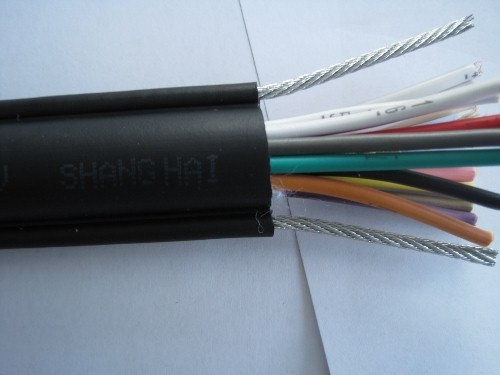 ECHU Factory Sales Pendant Cable For Crane RVV1G RVV2G