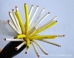 KYJV Copper core XLPE insulated PVC sheathed control cable
