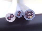 CE Cert. Harmonized ROHS Round Control Cable H05VV-F / H03VV-F for Installation Wire Use