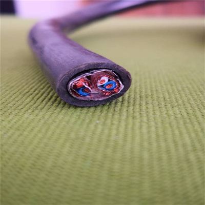 Instruments Cables Computer Cable DJYPVP